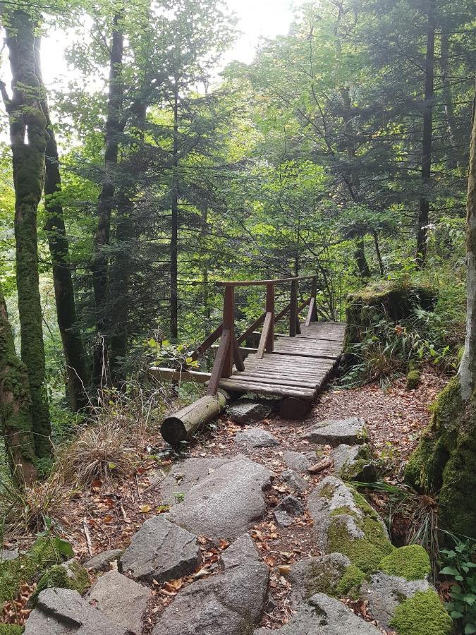 Naturezenkota Mittlach ภายนอก รูปภาพ