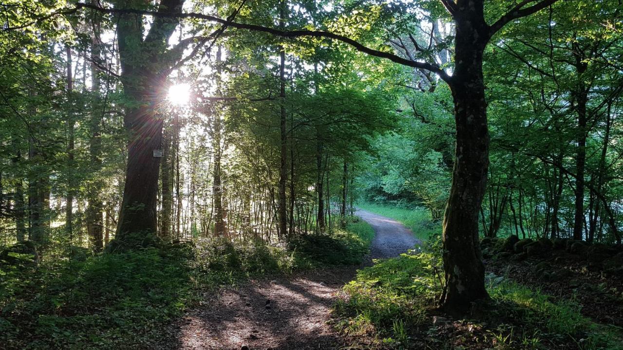 Naturezenkota Mittlach ภายนอก รูปภาพ